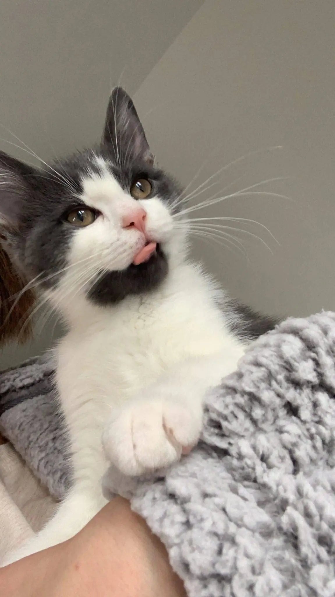 Snuggles Time! December 2021