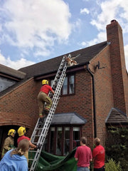 Down Boy! Hilarious moment spaniel is rescued after getting stuck on the ROOF of a house