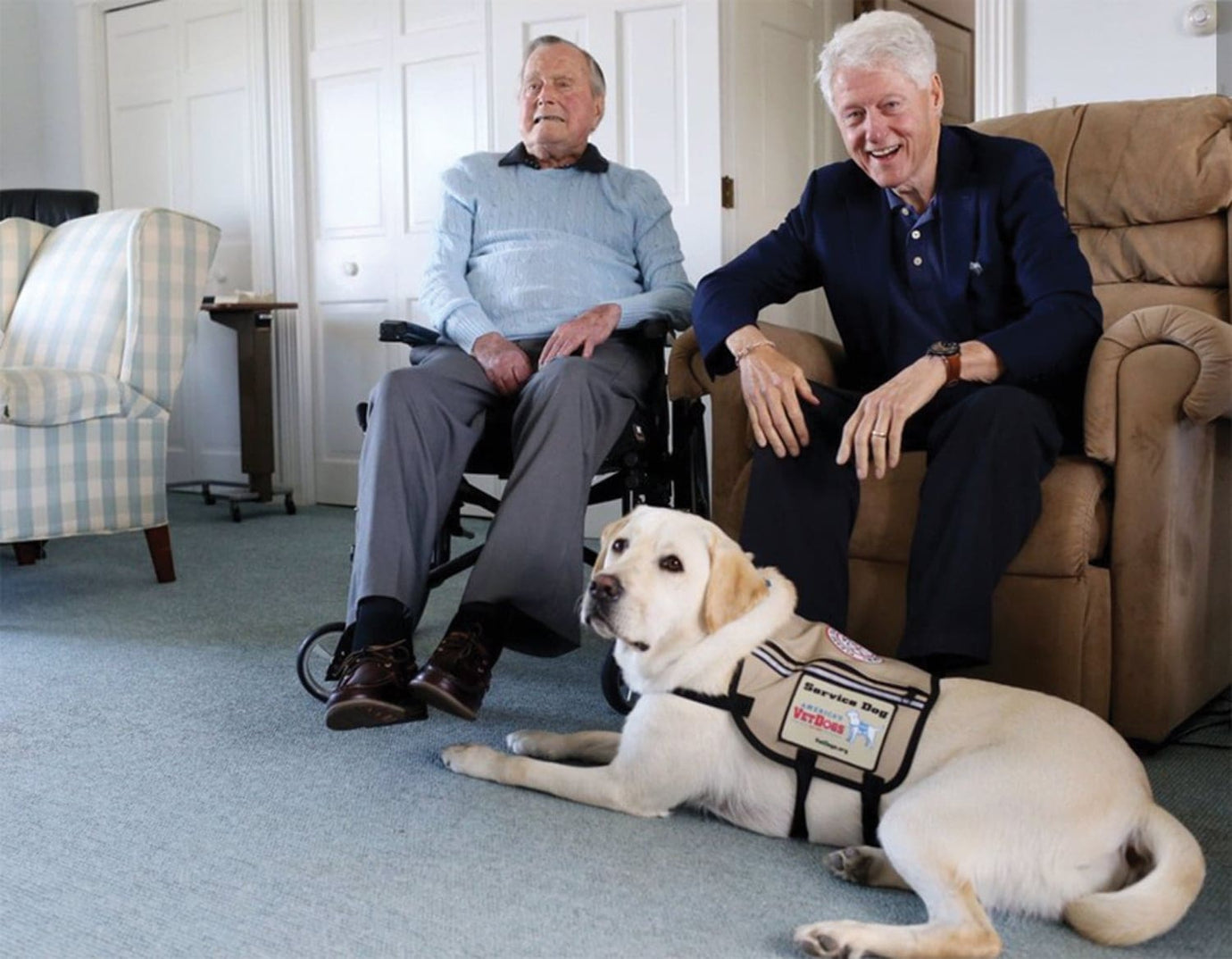 service dog with two senior people