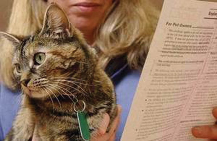 Pet owners reminded to seek advice on travel plans ahead of 31st October