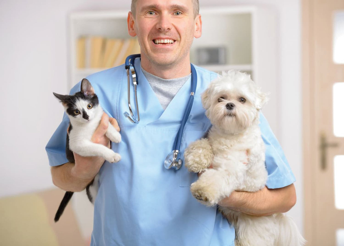 veterinarian with two small dogs