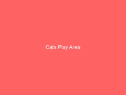 Cats Play Area