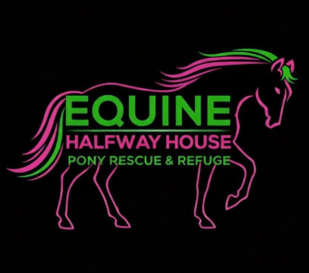 Equine Halfway House Pony Rescue and Refuge Shop