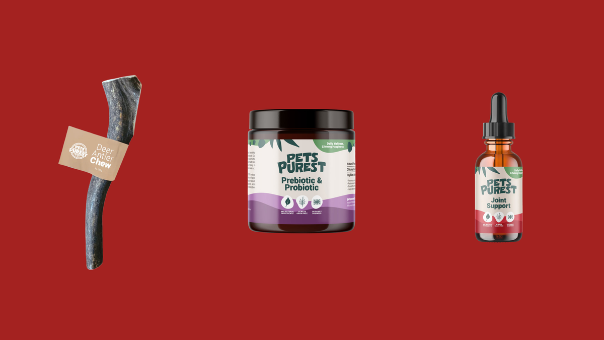 All in stock pet supplies