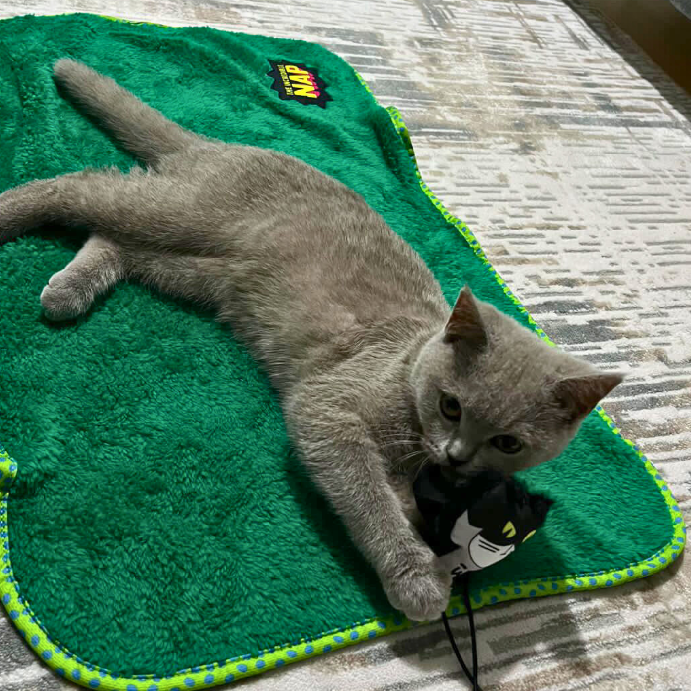 MyMeow The Incredible Nap Pet Blanket, 50 cm x 70 cm