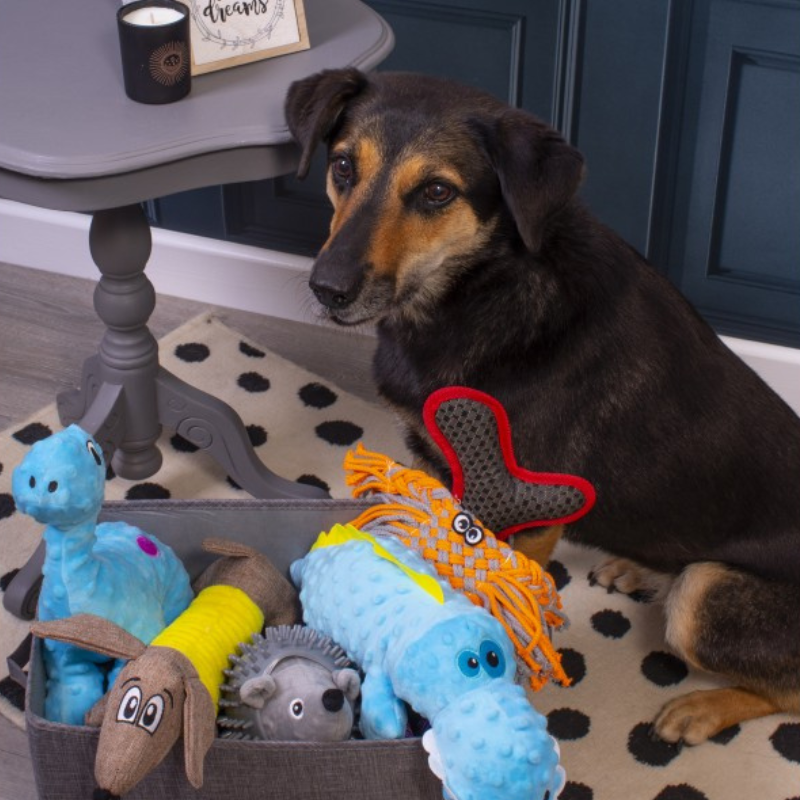 Bosca Bréagán Madraí Fillte WufWuf &amp; Rogha Cliste, Liath