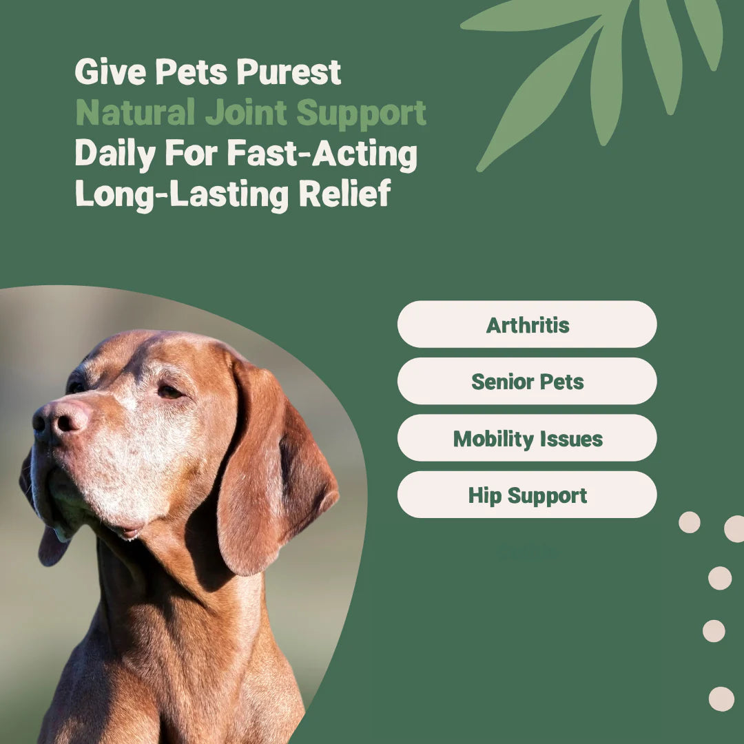 Pets Purest Natural Joint Support (for cats and dogs)