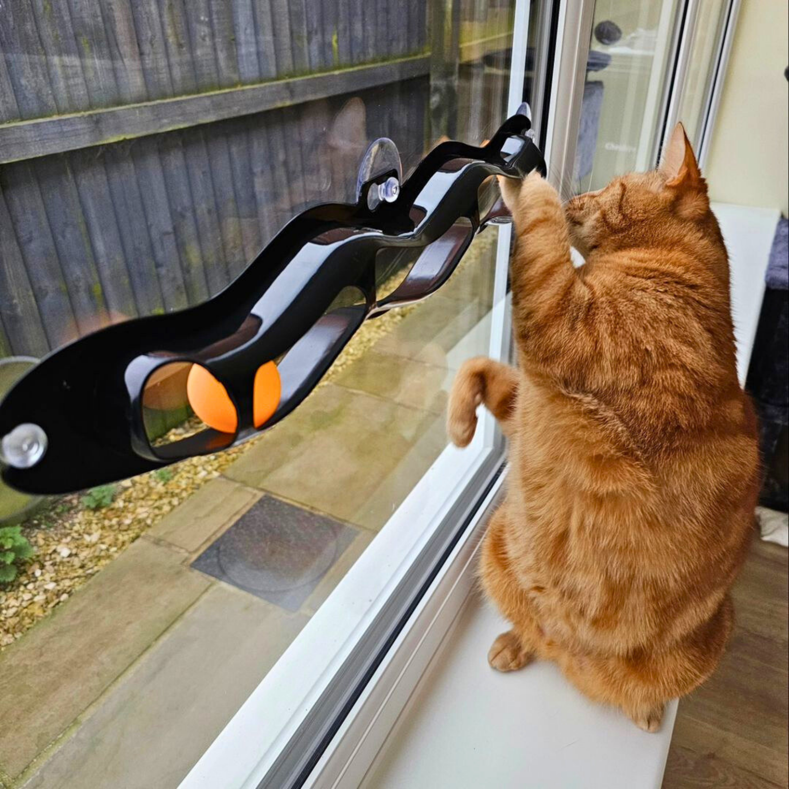 WufWuf & Smart Choice Interactive Window Track Cat Toy