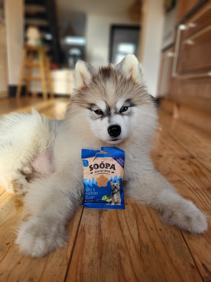 Soopa Apple & Blueberry Healthy Bites