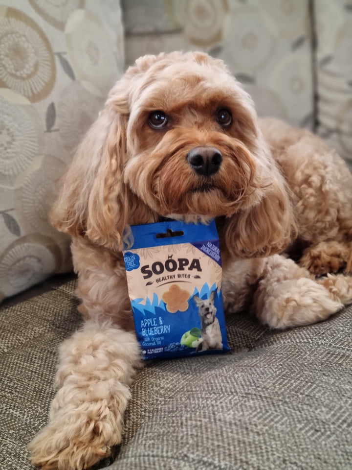 Soopa Apple & Blueberry Healthy Bites