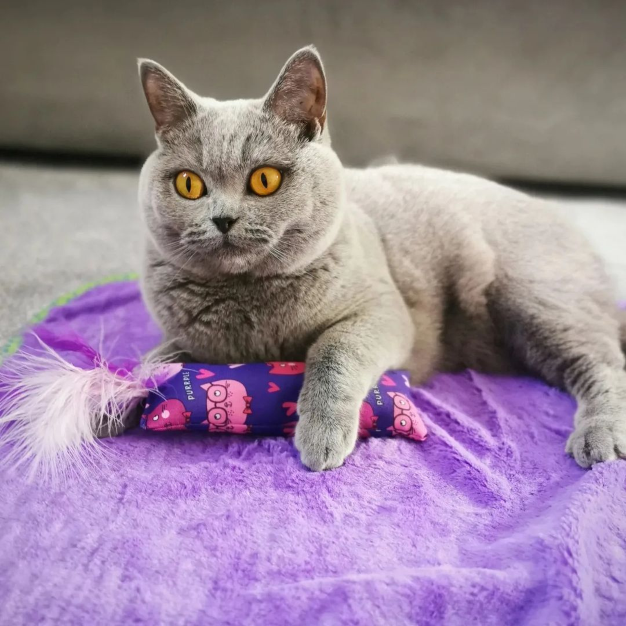 MyMeow Purple Blanket Cat Bedding