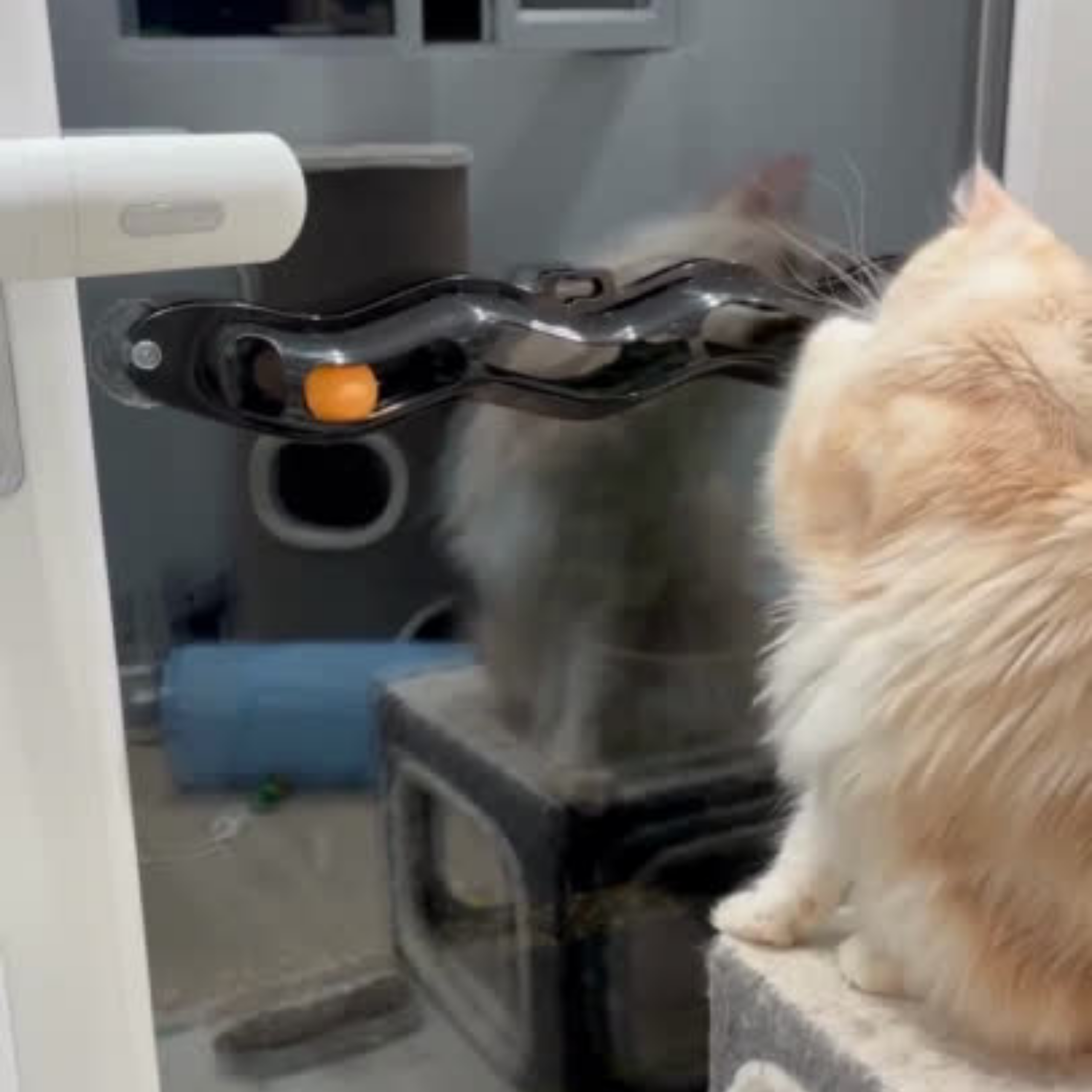 Bréagán Cat Rian Fuinneog Idirghníomhach WufWuf &amp; Rogha Cliste