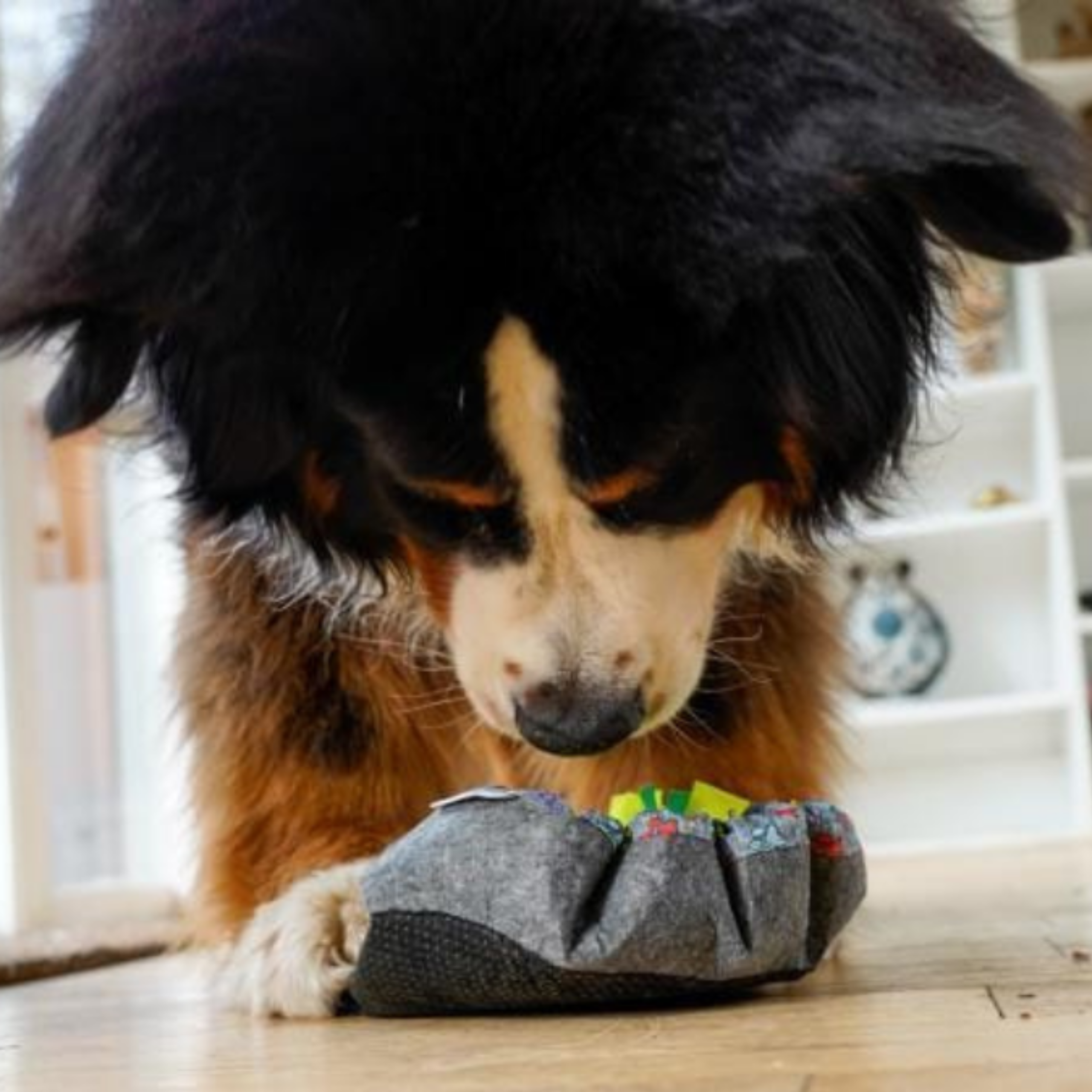 WufSalad Snuffle Mat Interactive Dog Toy