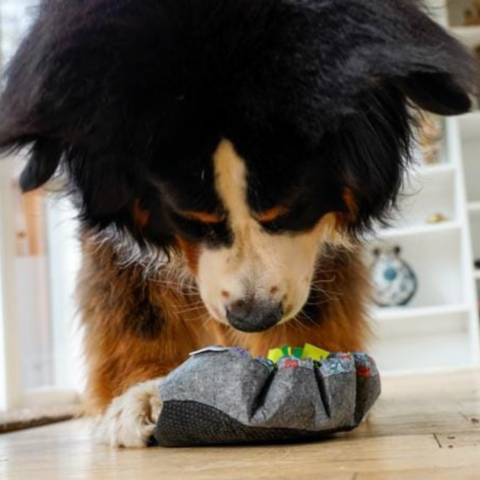 WufSalad Snuffle Mat Interactive Dog Toy