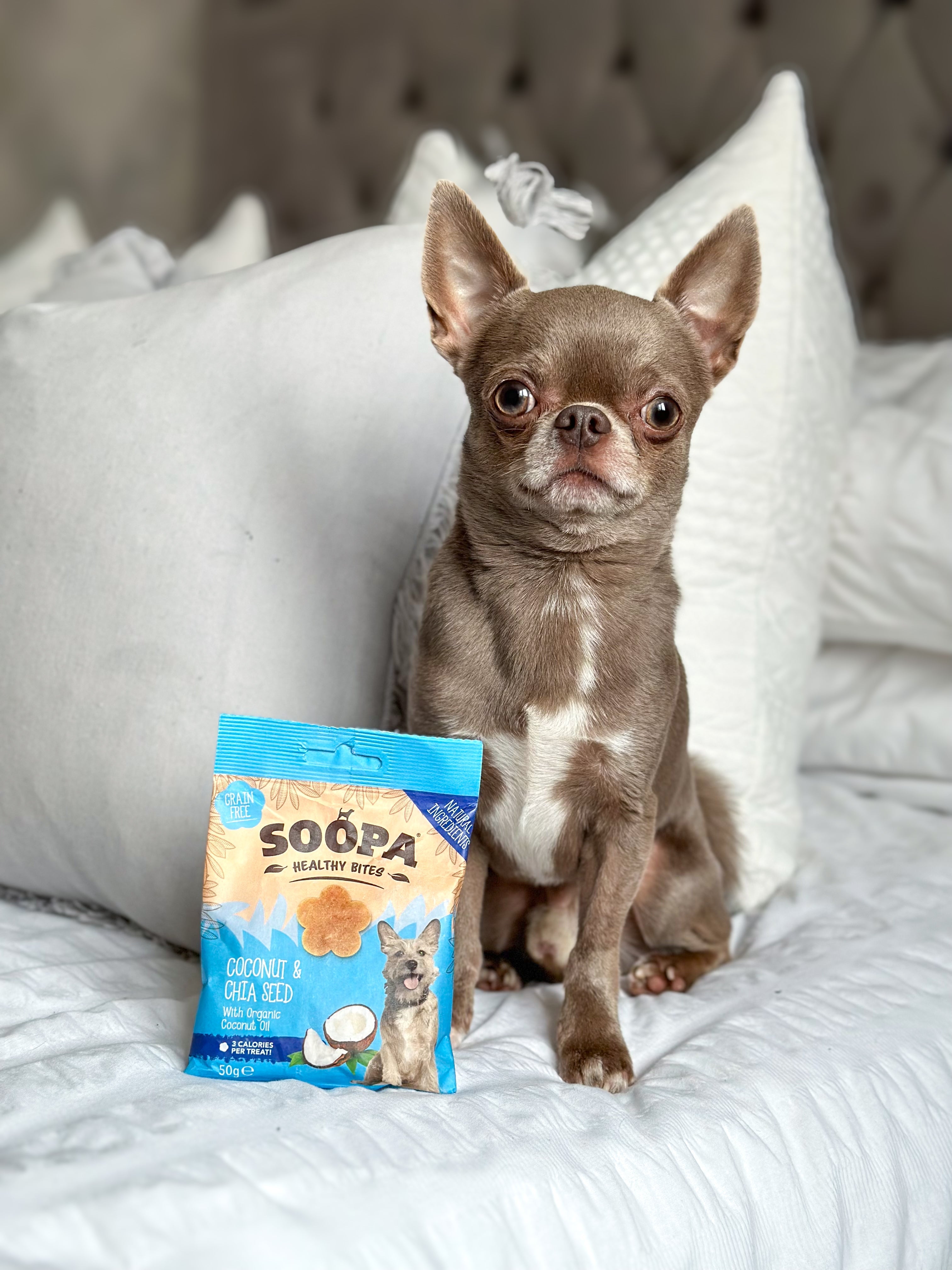 Soopa Cócó &amp; Chia Seed Bites Sláintiúil