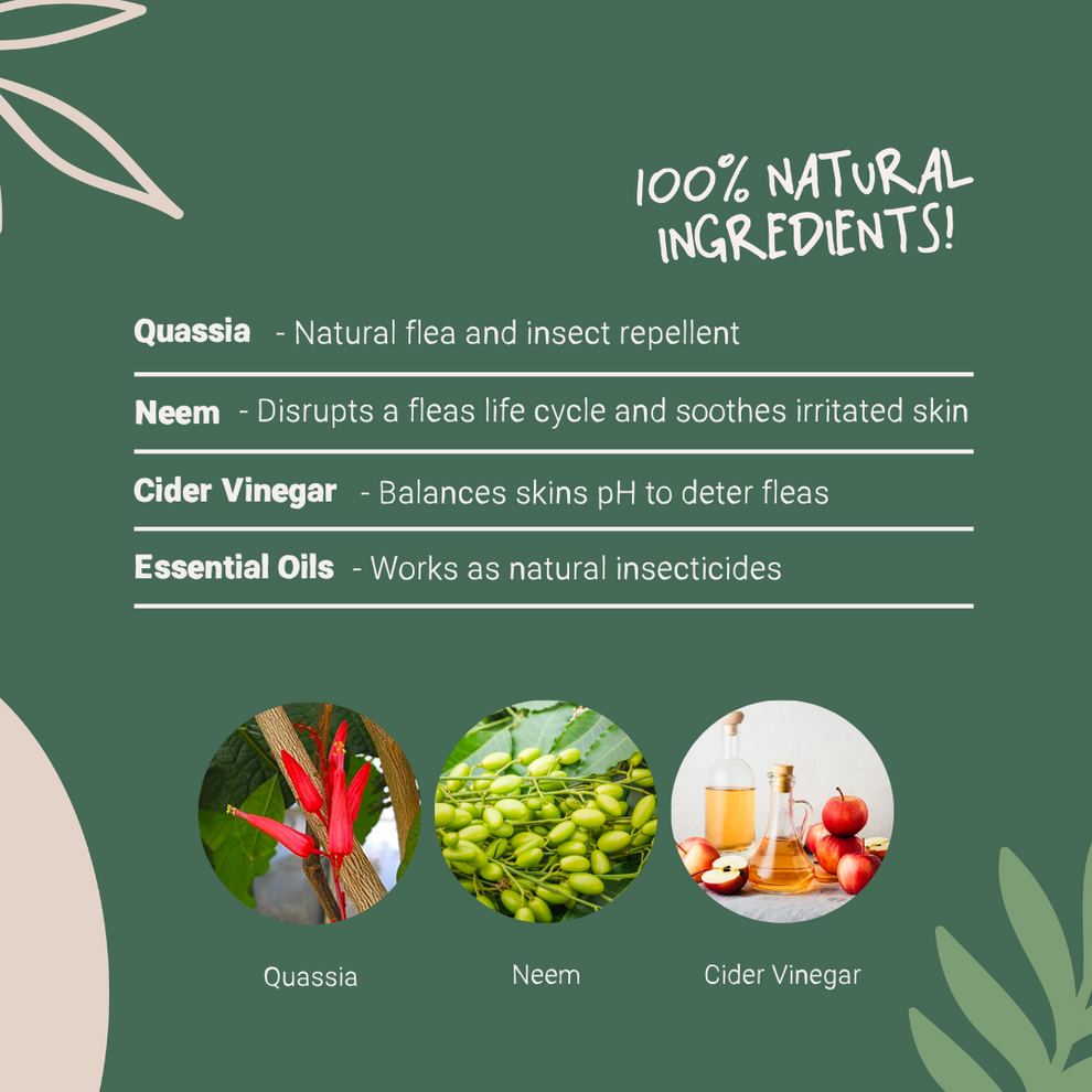 Pets Purest Natural Flea, Lice & Tick Spray 500ml