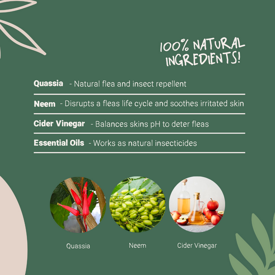 Pets Purest Natural Flea, Lice & Tick Spray 500ml