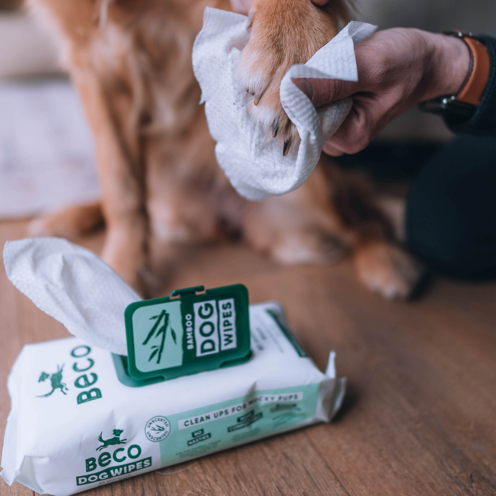 Beco Bambú Wipes Madraí, Gan boladh, 80 pacáiste