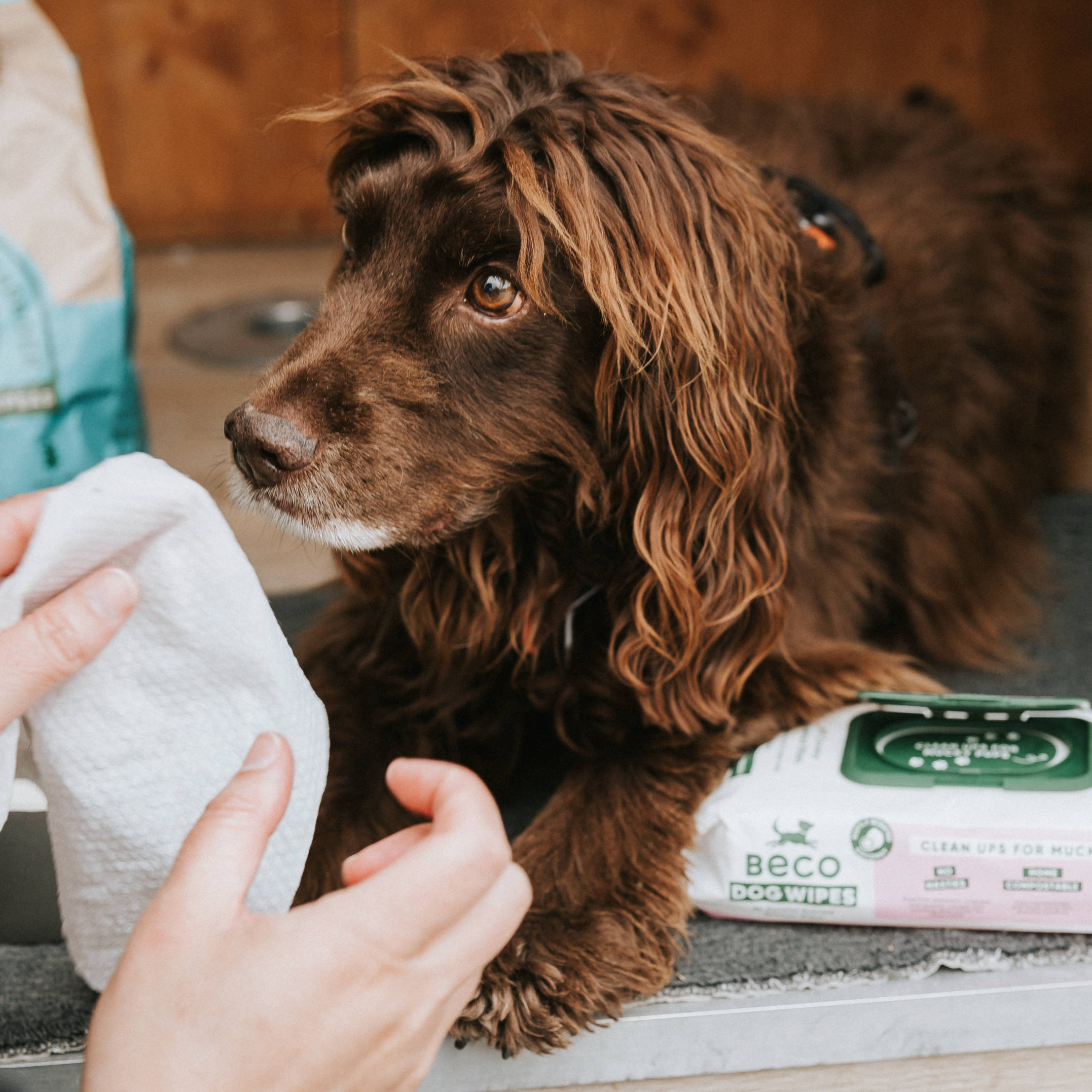 Beco Bamboo Dog Wipes, Coconut Scented, 80 Pack