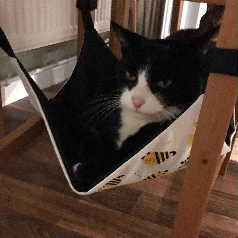 MyMeow Bee Relaxed Cat Hammock Bed