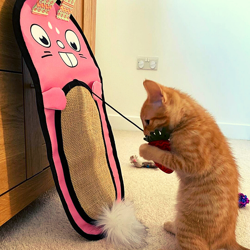 MyMeow Bunny Cat Scratcher le hanger