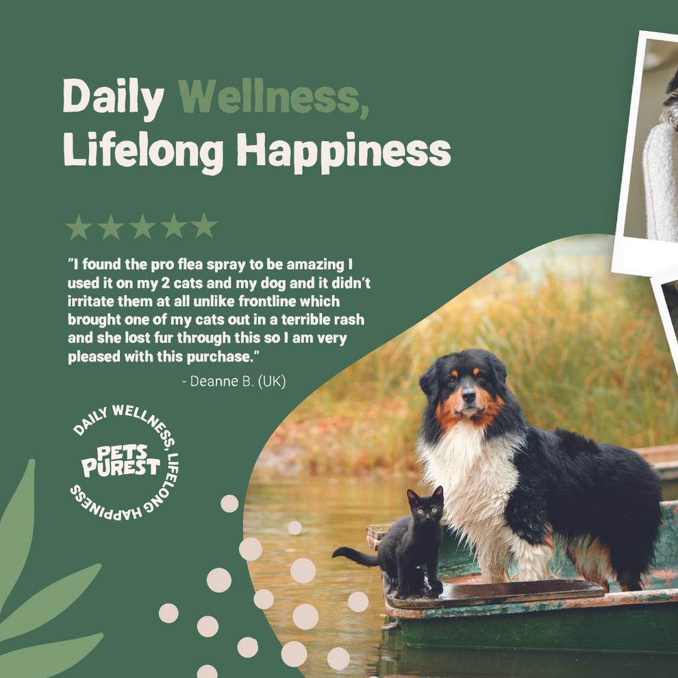 Pets Purest Natural Flea, Lice & Tick Spray 500ml