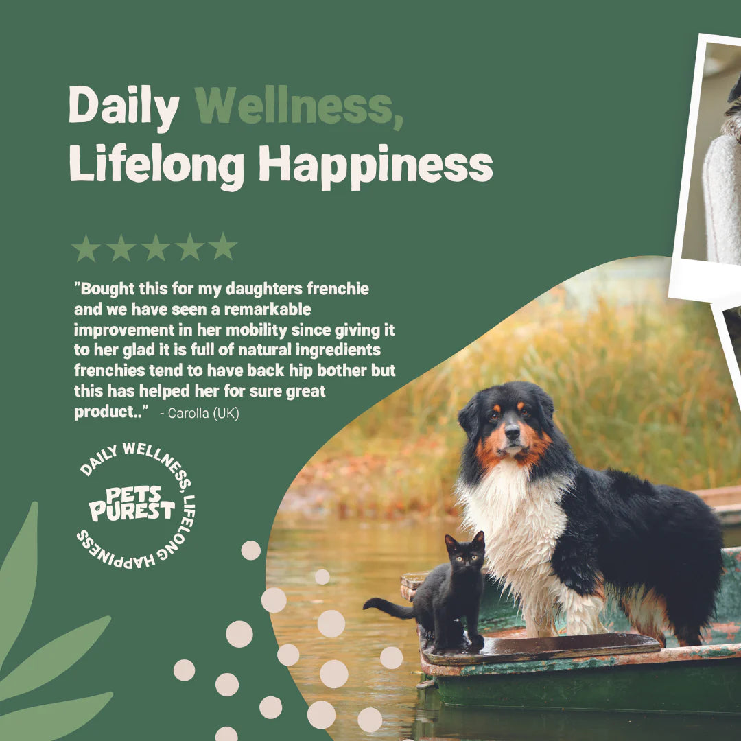 Pets Purest Natural Joint Support (for cats and dogs)