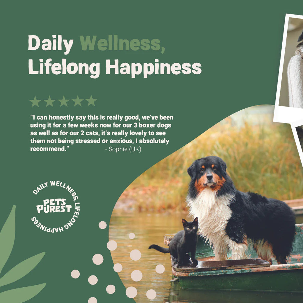 Anifeiliaid anwes Diferion Tawelu Naturiol Puraf (ar gyfer cathod a chŵn)