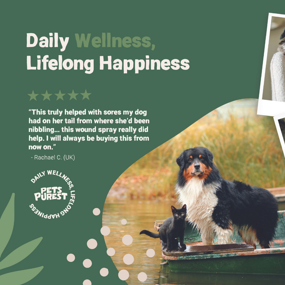 Pets Purest Natural Wound & Skin Care Spray 65ml