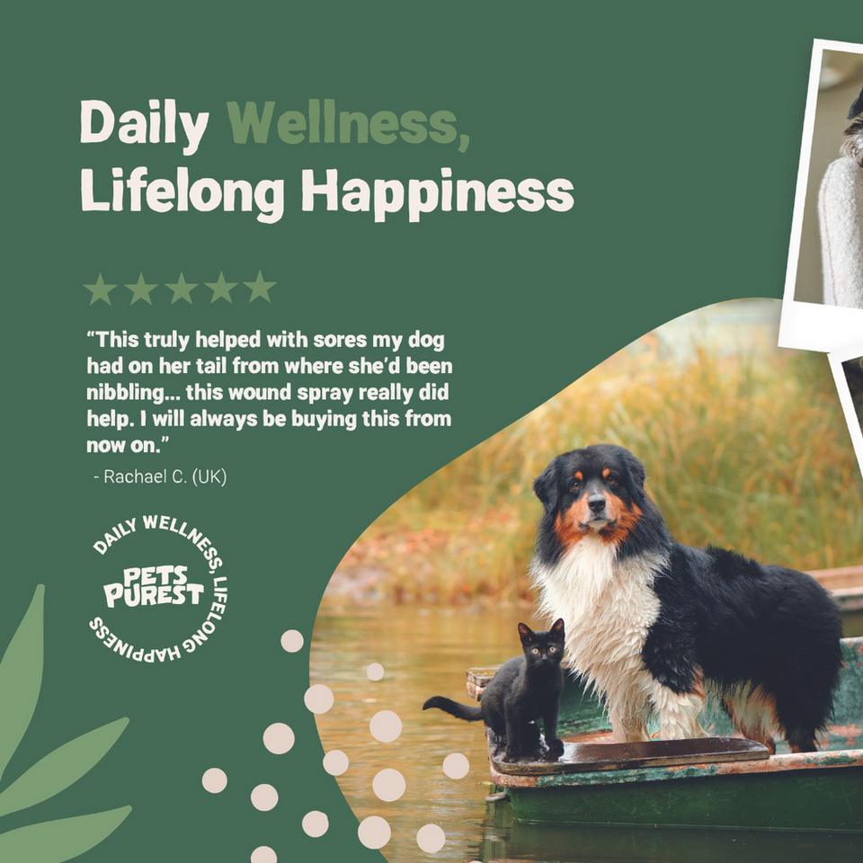 Pets Purest Natural Wound & Skin Care Spray 65ml