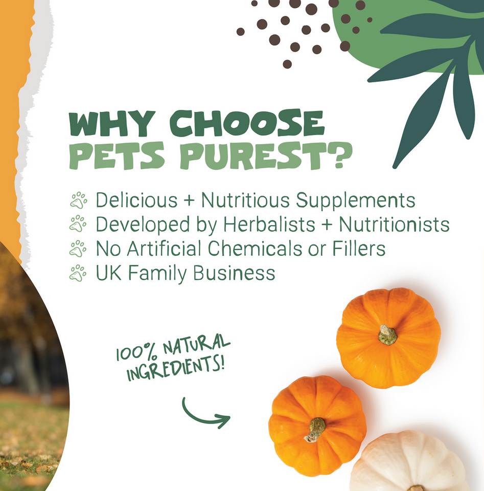 Pets Purest Pumpkin Powder - 250g