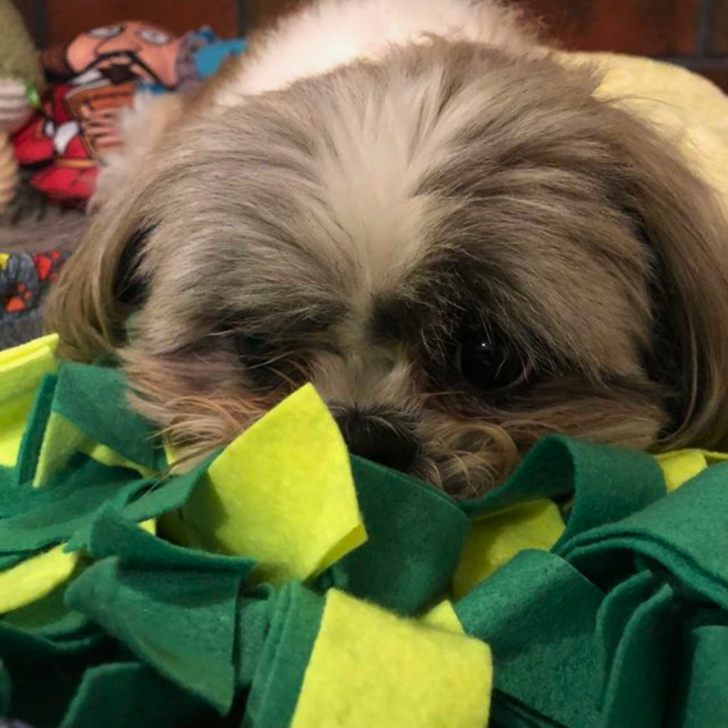 WufSalad Snuffle Mat Interactive Dog Toy