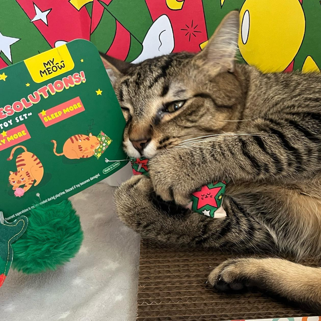 Rúin Bliana MyMeow Meow, Catnip Toy Set