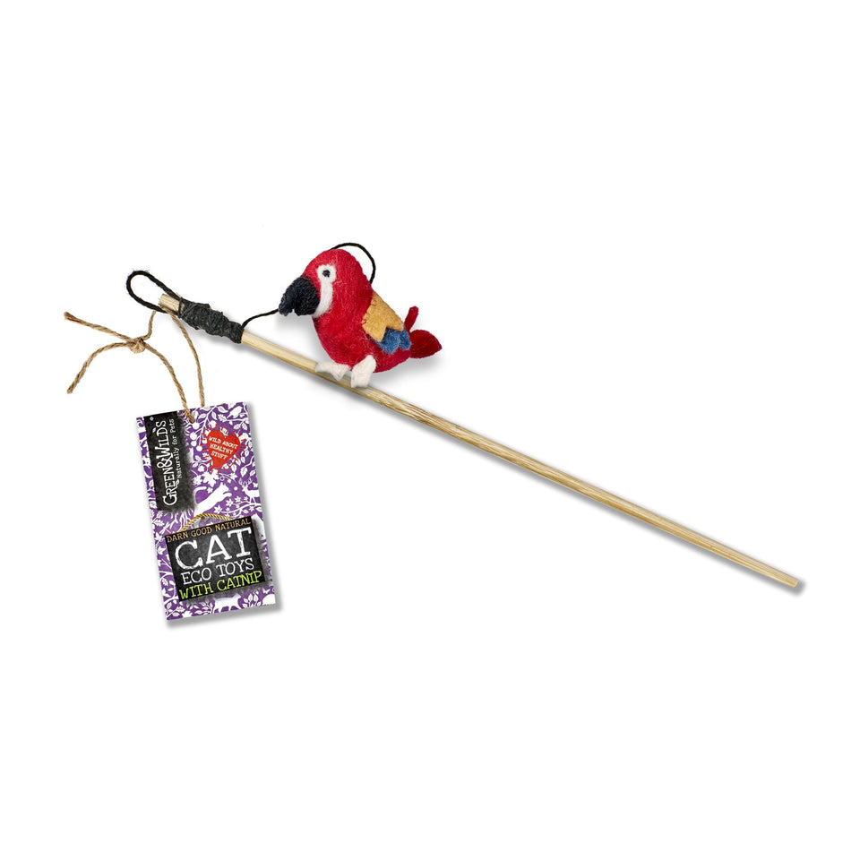 Green & Wild's Polly Parrot - Eco Teaser toy with catnip