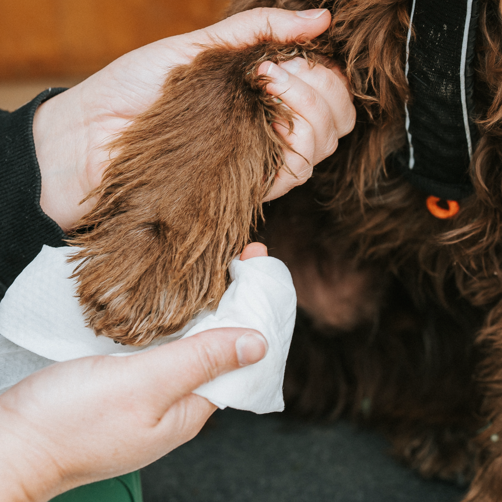 Beco Bambú Wipes Madraí, Scent Cnó cócó, 80 Pacáiste