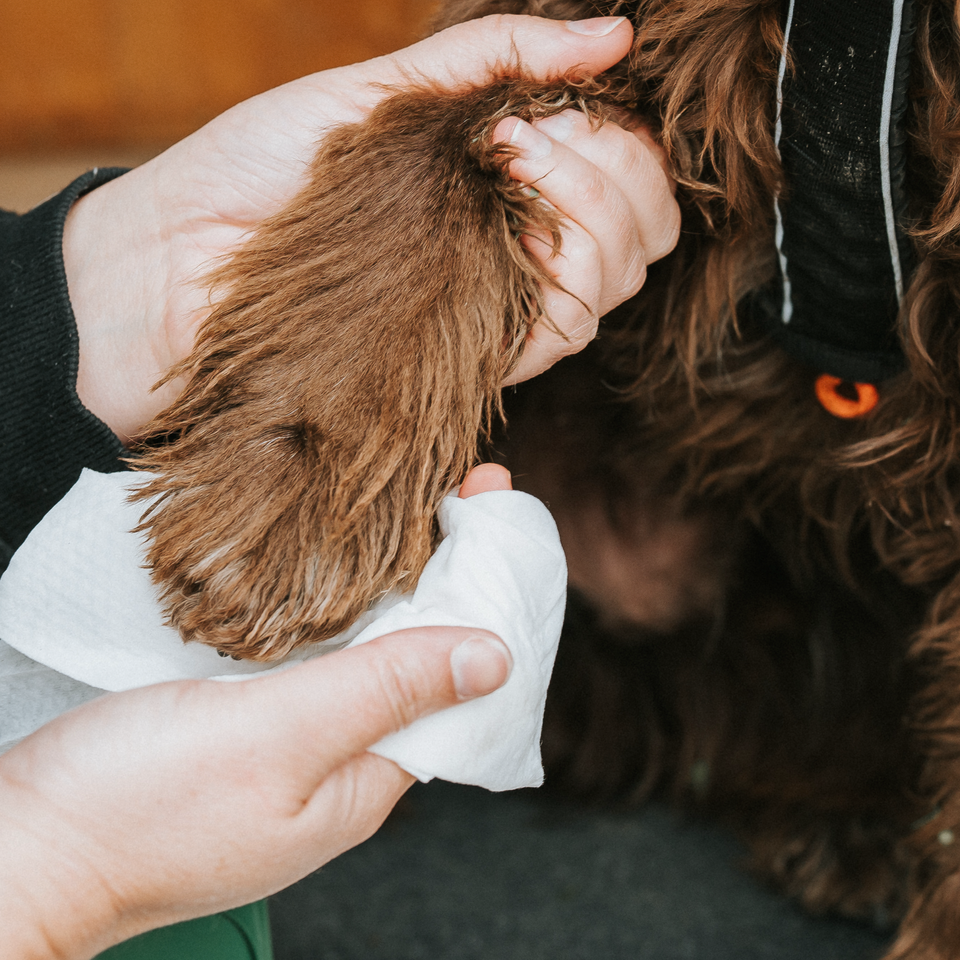 Beco Bambú Wipes Madraí, Scent Cnó cócó, 80 Pacáiste