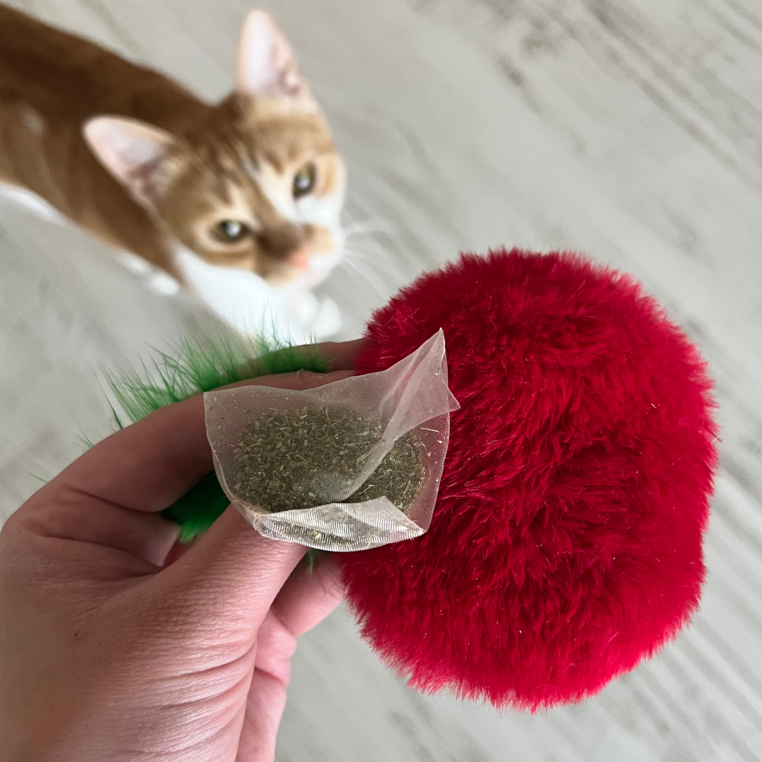 Bréagán Cat In-athlíonta MyMeow Krazy Apple le 10 Málaí Tae Catnip