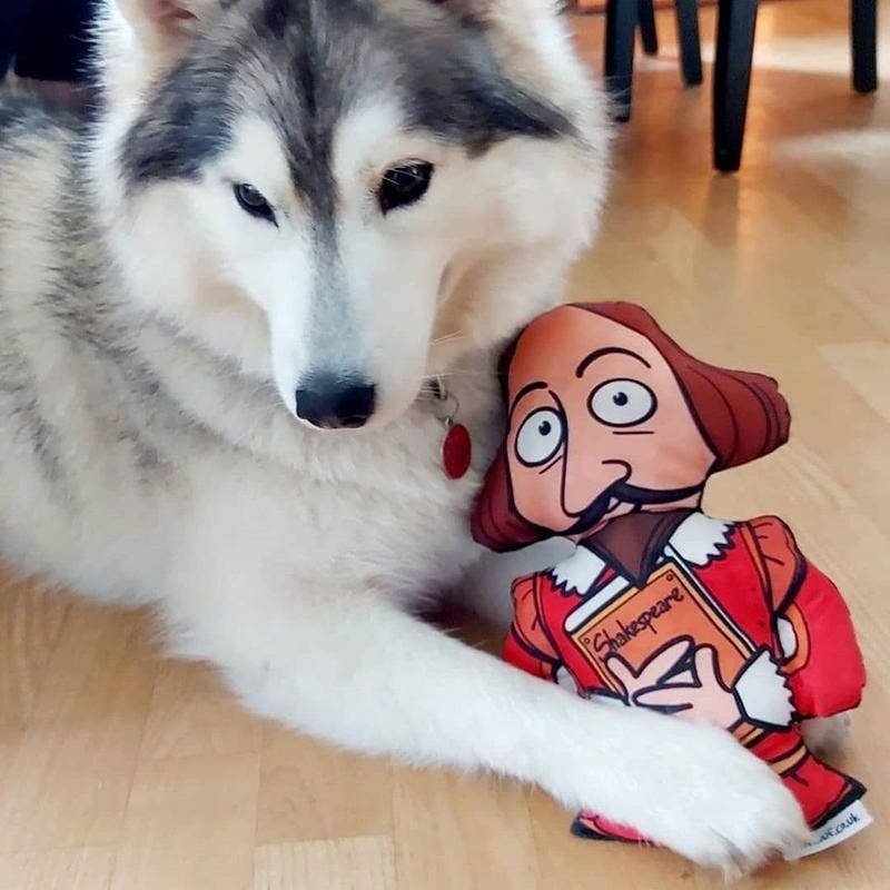 WufWuf Shakespeare Squeaky Plush Dog Toy, The Bard's Bark!