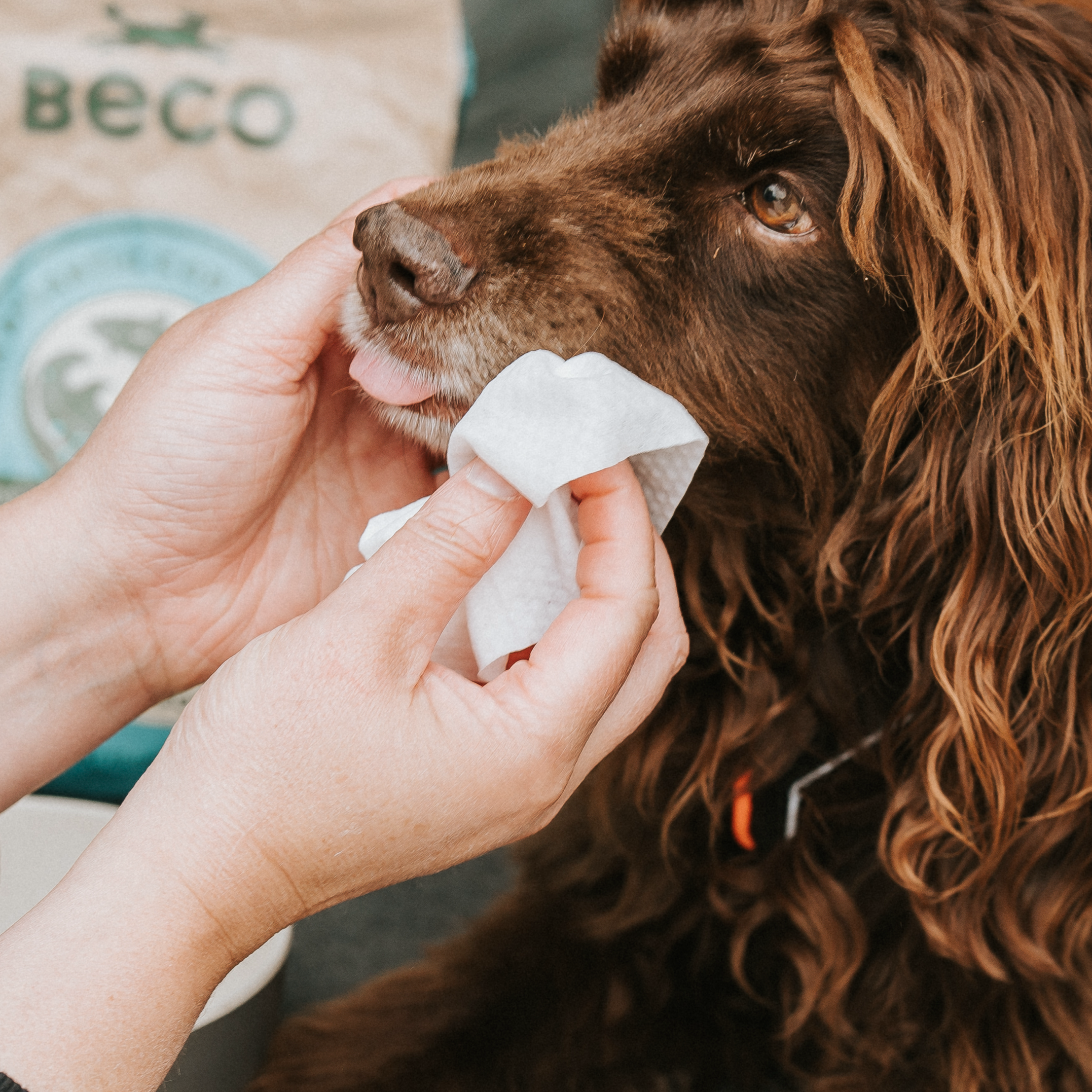 Beco Bamboo Dog Wipes, Coconut Scented, 80 Pack