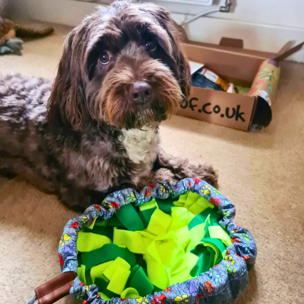 WufSalad Snuffle Mat Interactive Dog Toy