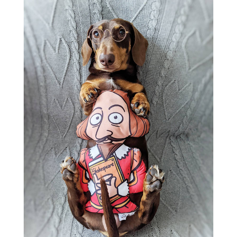 WufWuf Shakespeare Squeaky Plush Dog Toy, The Bard's Bark!