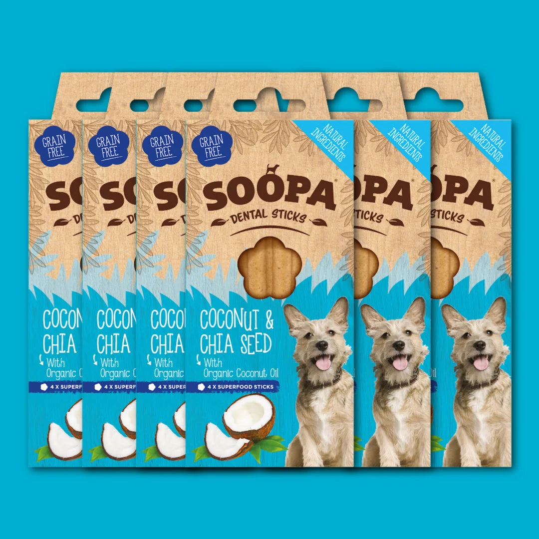 Soopa Coconut & Chia Seed Dental Sticks