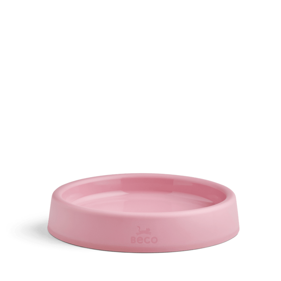 Babhla Cat Seasta Beco Olive Green