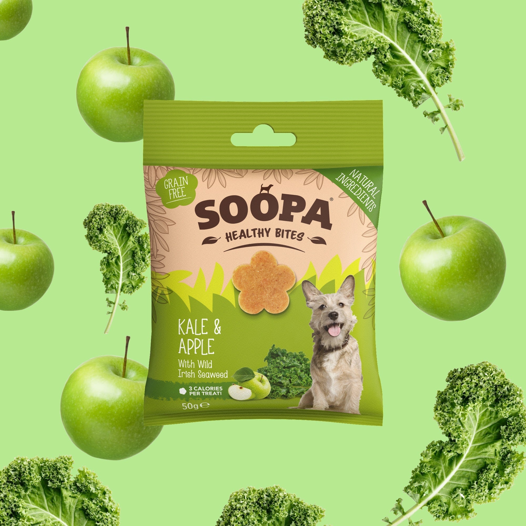 Soopa Kale & Apple Healthy Bites