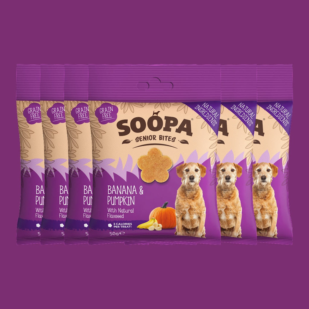 Brath Iach Banana, Pwmpen a Had Chlin ar gyfer Cŵn Hŷn