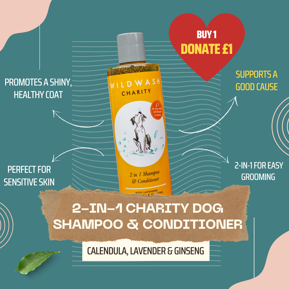 WildWash Charity Dog Shampoo & Conditioner