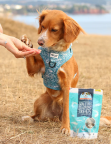 Skipper's Fish Training Treats 500g