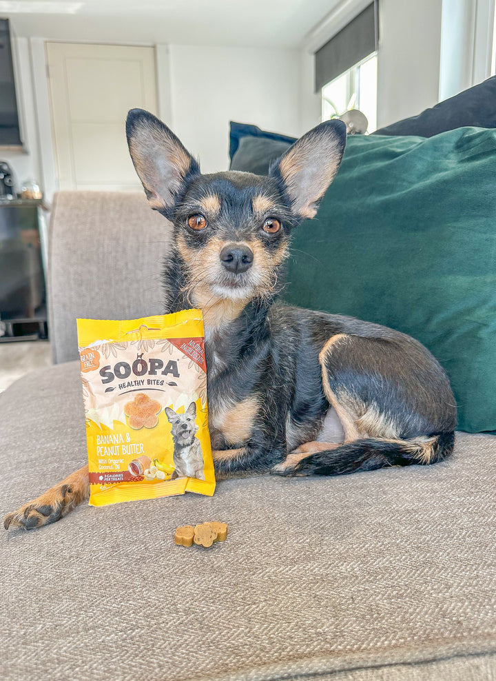 Soopa Banana & Peanut Butter Healthy Bites