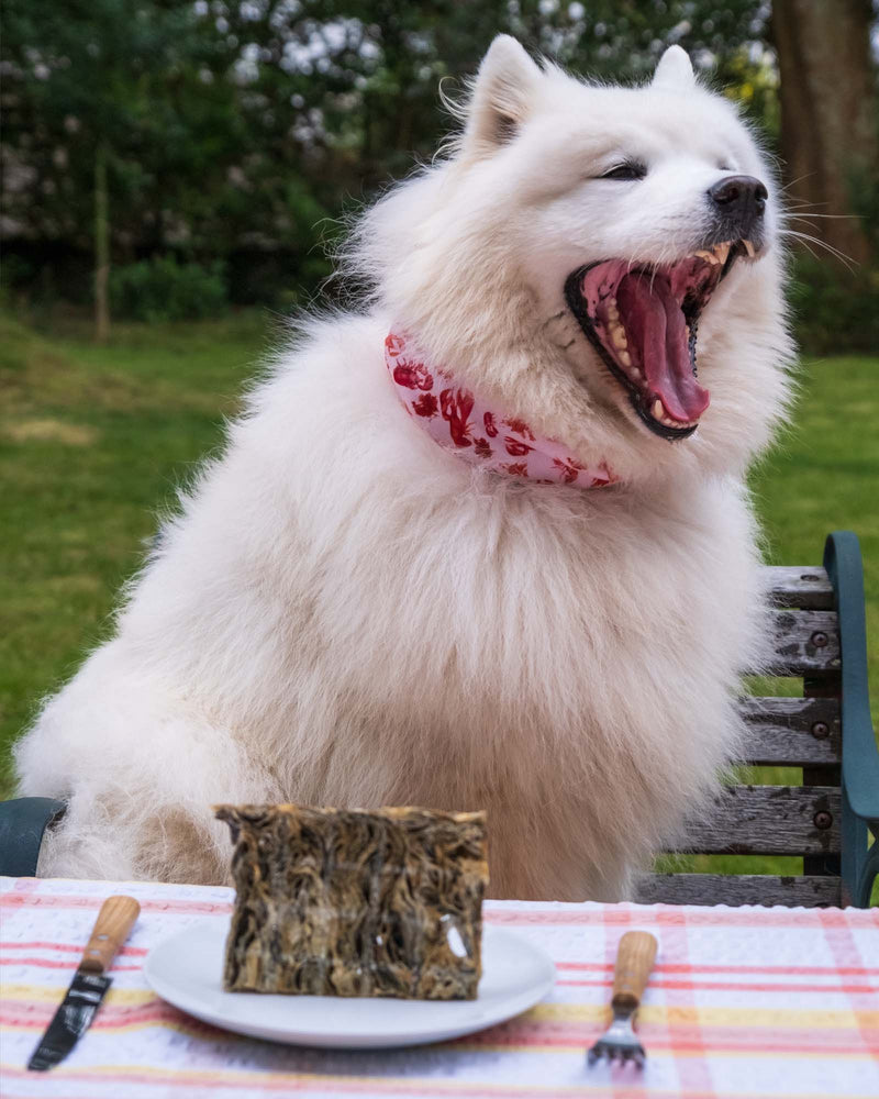 Skipper's Fish Skin Mighty Bars 250g