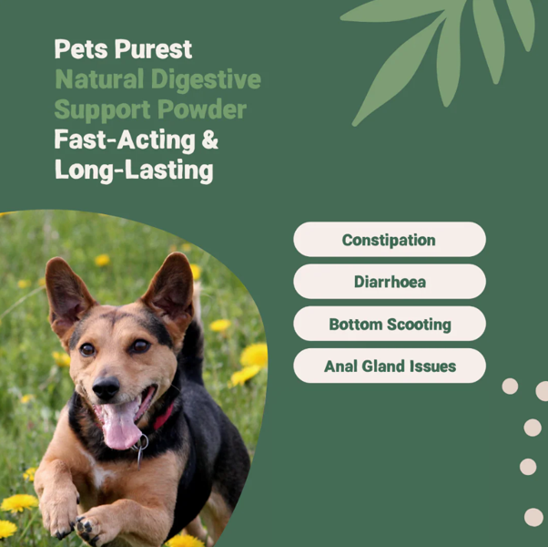NEW! Pets Purest Natural Digestive Support Powder 100g